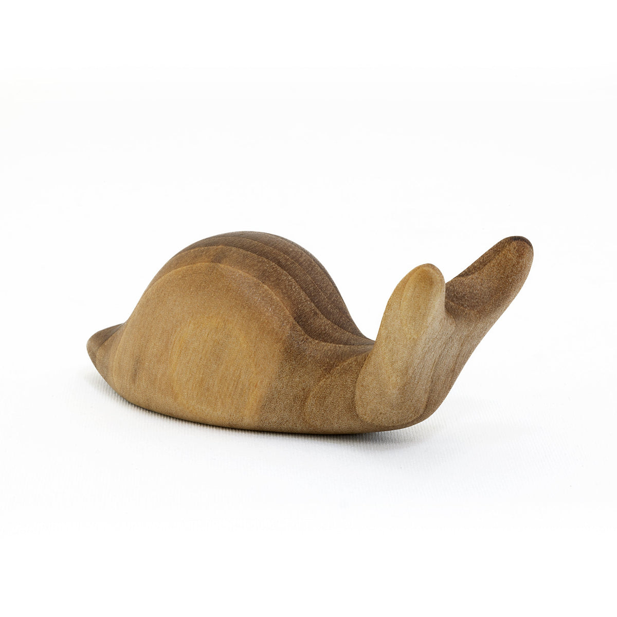 Antonio Vitali Walnut Snail by IC Design (photo 2 of 4)