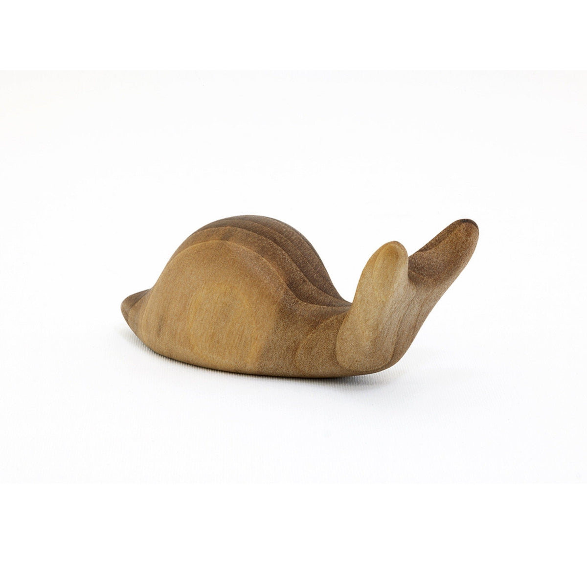 Antonio Vitali Walnut Snail by IC Design (photo 3 of 4)