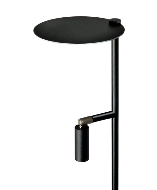 Carpyen Lighting Kelly Table Lamp