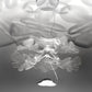 Artemide Chlorophilia Suspension LED Extended 15Ft S1628018A02