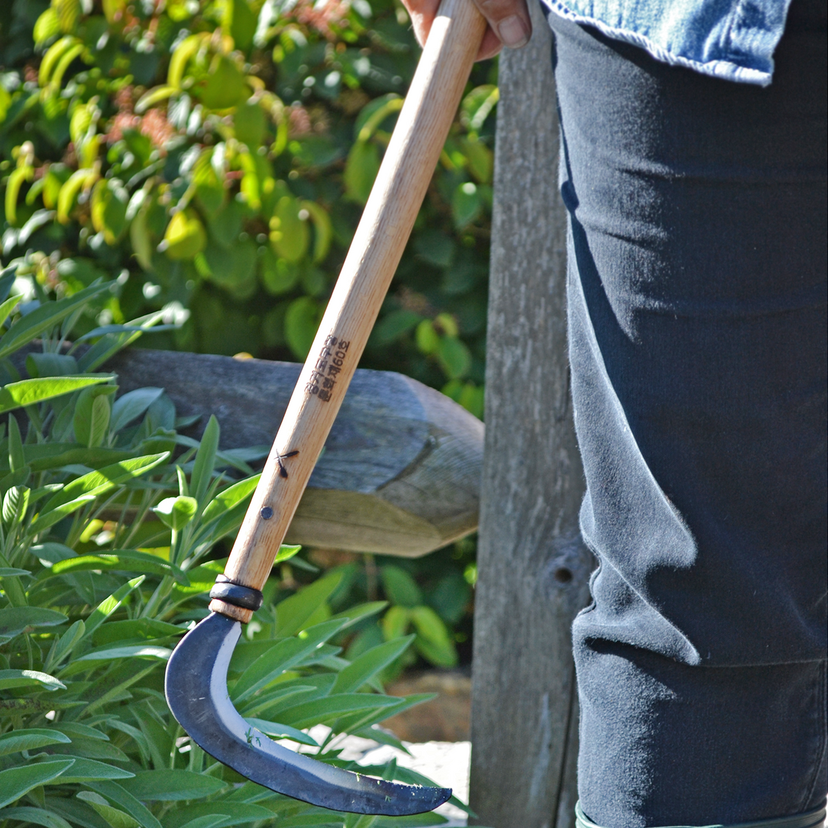 Master Shin's Anvil #67 Sickle (photo 3 of 5)