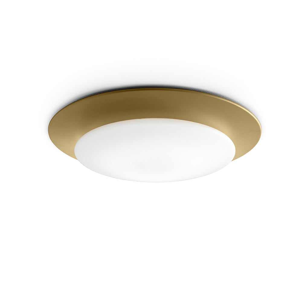 Carpyen Lighting Oslo Wall Or Ceiling Light