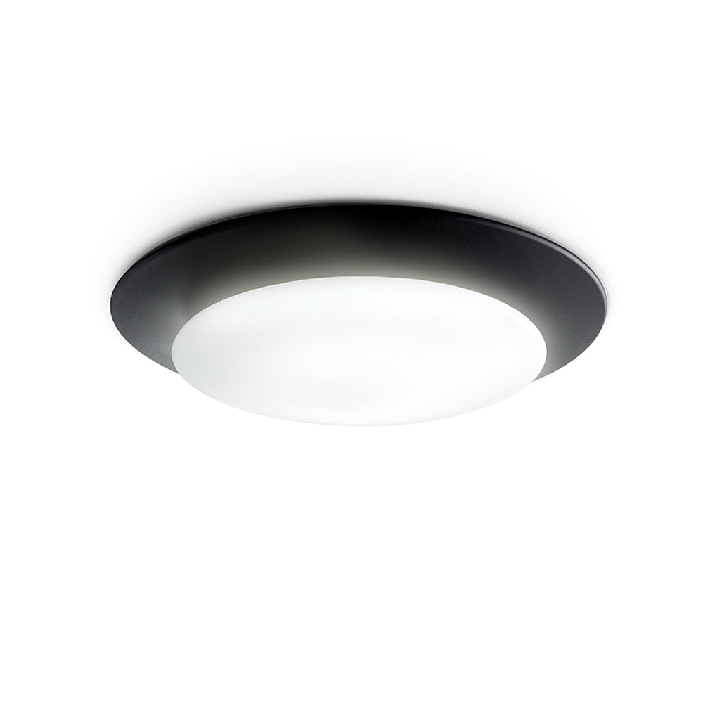 Carpyen Lighting Oslo Wall Or Ceiling Light