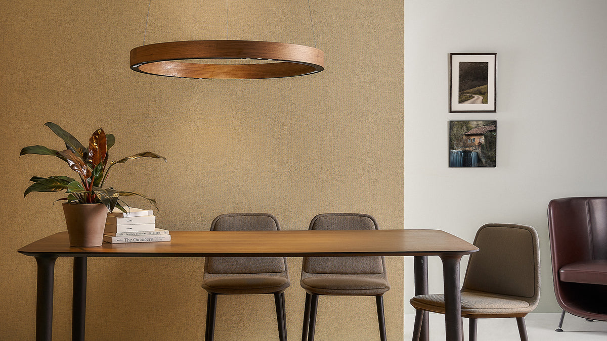 R2 S ring pendant lamp by David Abad