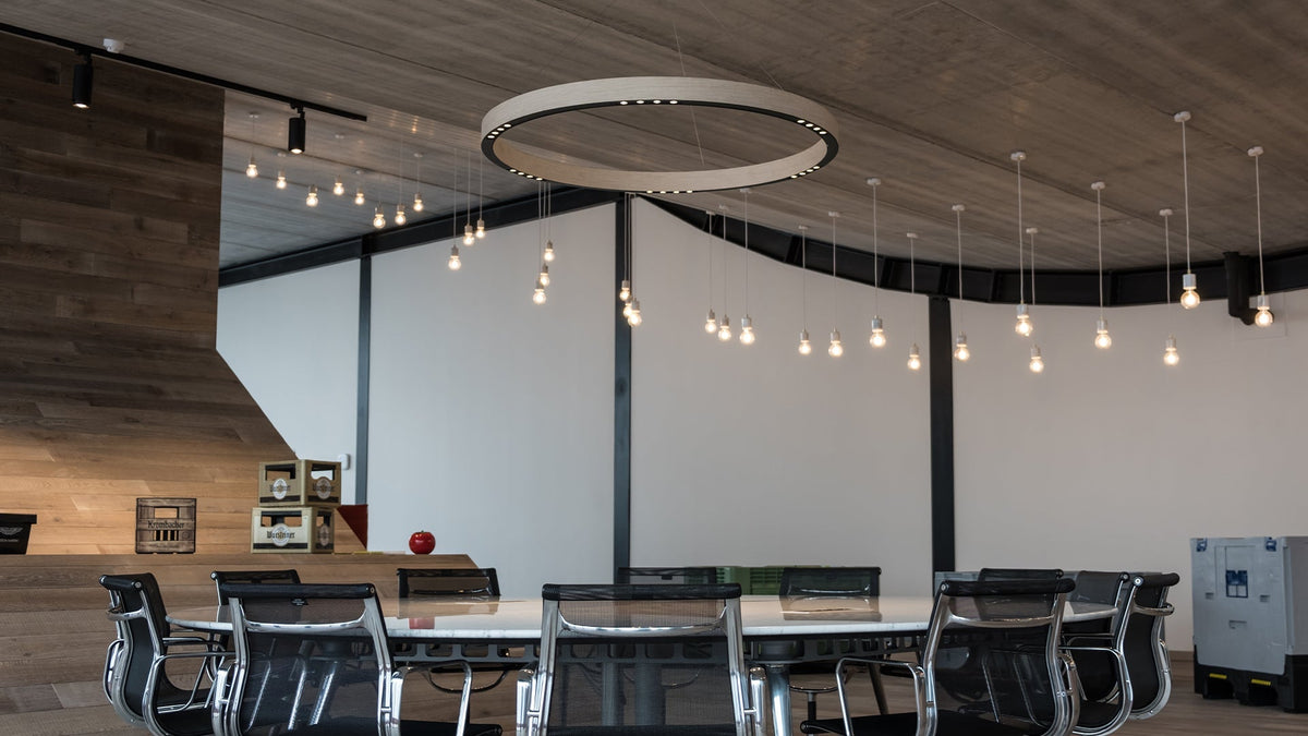 R2 S ring pendant lamp by David Abad