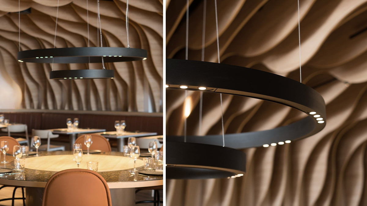 R2 S ring pendant lamp by David Abad