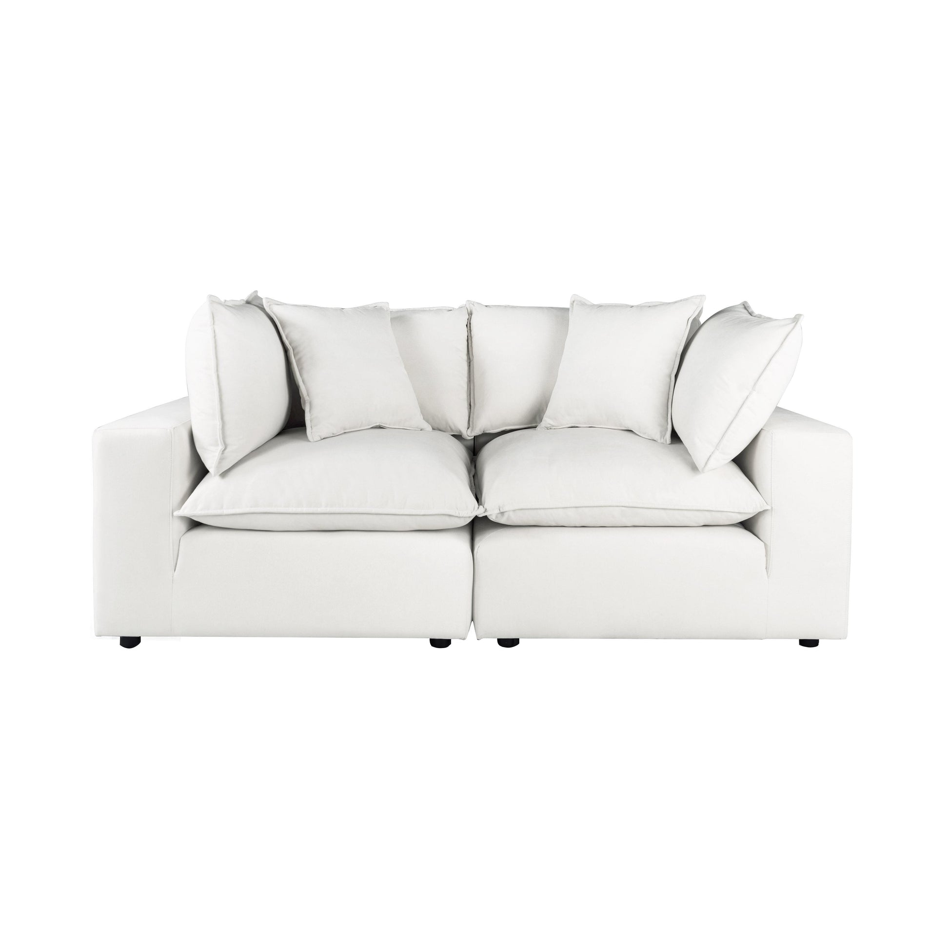 Cali Pearl Performance Fabric Modular Loveseat by TOV