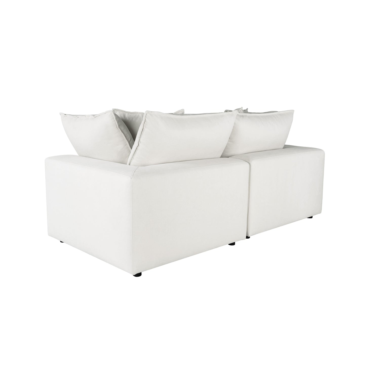 Cali Pearl Performance Fabric Modular Loveseat by TOV