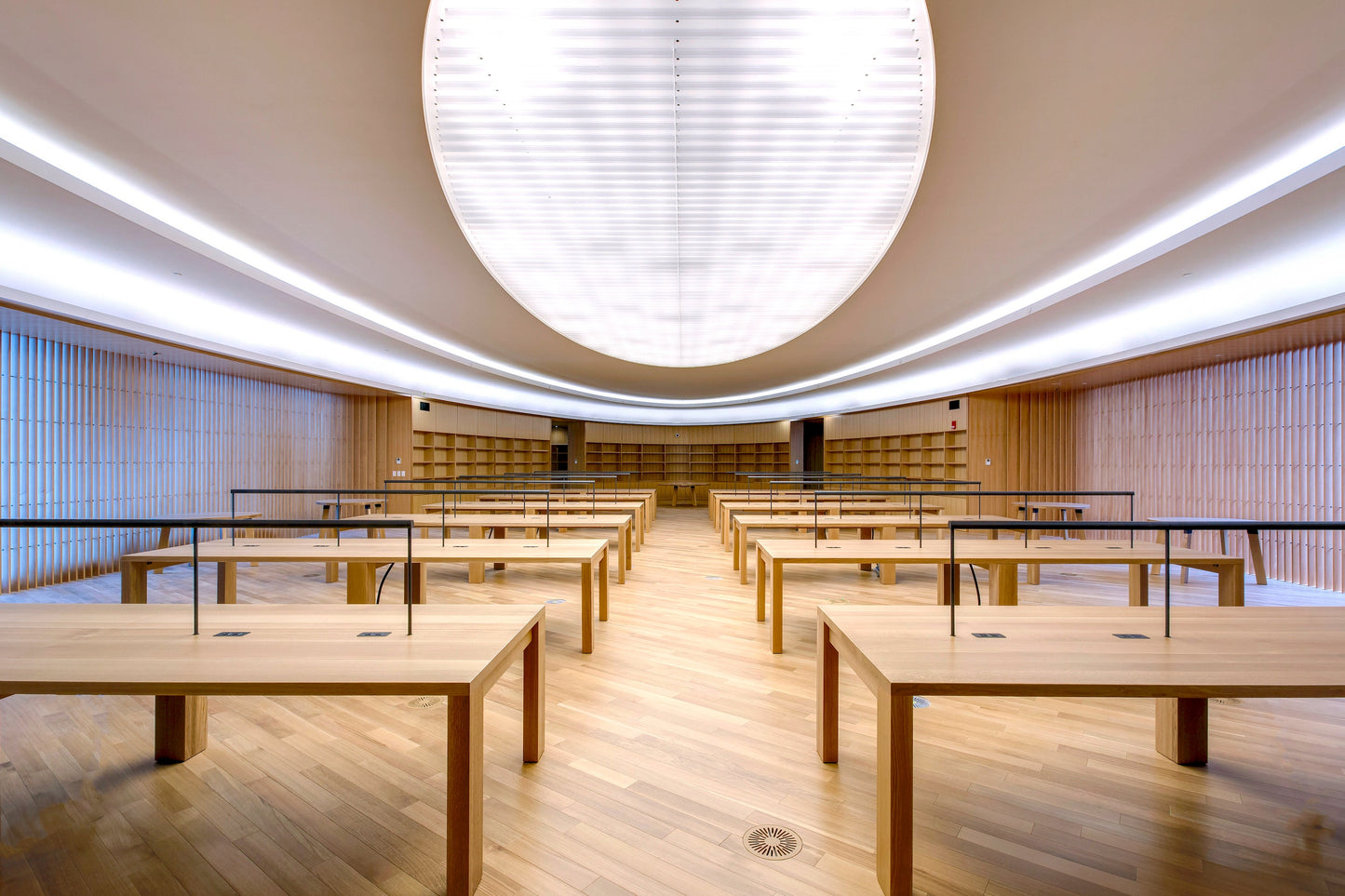 Sobre 2 X 36 Desk Clamp Mounted Warm Light Silver Sf1 36 36 19 3500 Sil 2Cf Ncu by Koncept Inc