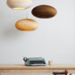 Disc Handcrafted Pendant Lamp By Graypants