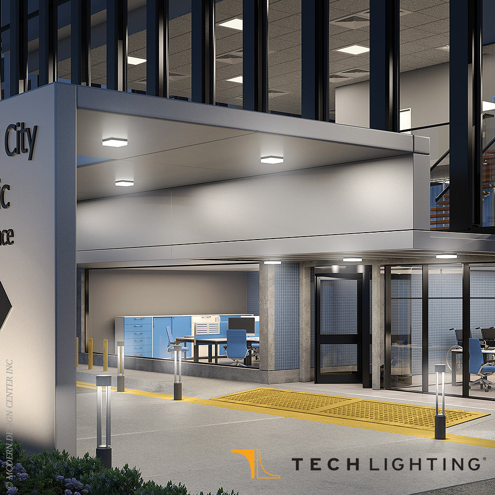 Boxie Large LED Outdoor Wall Ceiling by Visual & Comfort & Co