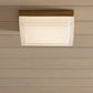 Boxie Large LED Outdoor Wall Ceiling by Visual & Comfort & Co