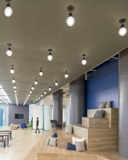 Visual Comfort Mina Led Pendant BLACK