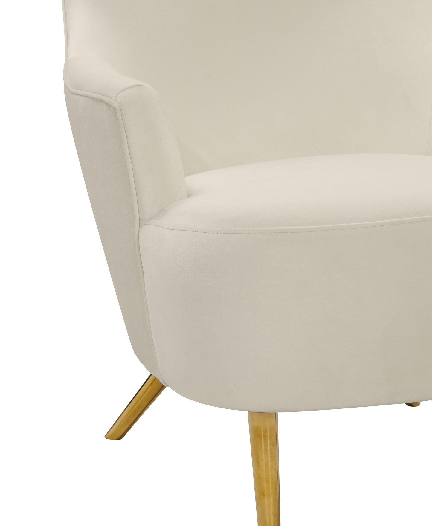 Julia Velvet Wingback Chair by TOV A2044 C