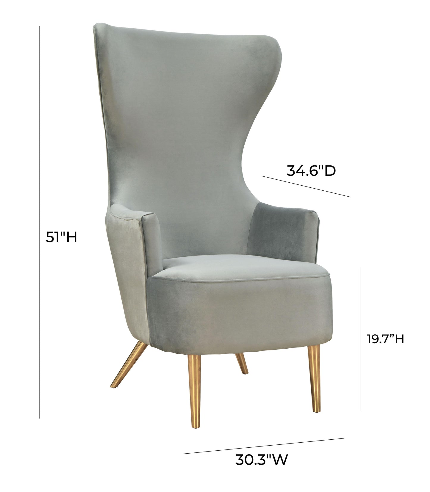Julia Velvet Wingback Chair by TOV A2045 N