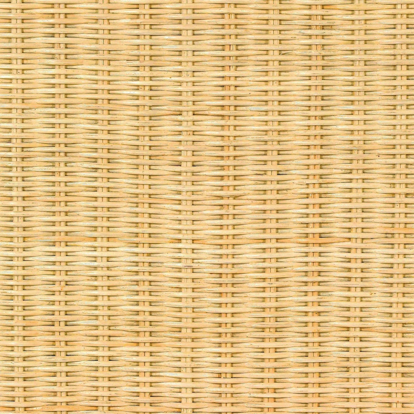 Pentra 25 Natural Rattan Nightstand With Drawer by TOV B21034