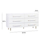 Trident 62 6 Drawer Dresser by TOV B44095
