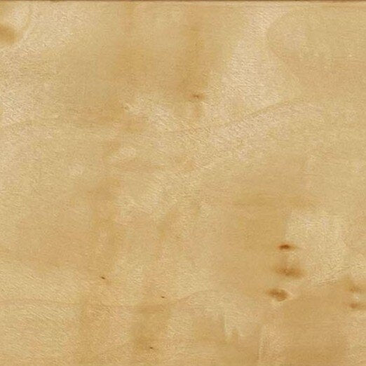 Brandyss 26 Burl 2 Drawer Nightstand by TOV B54371