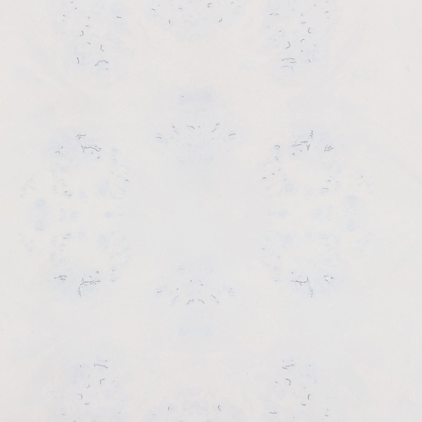 Brandyss 26 Burl 2 Drawer Nightstand by TOV B54387