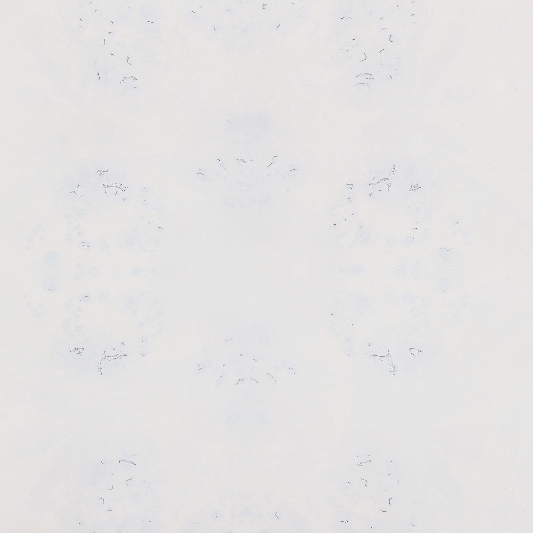 Brandyss 26 Burl 2 Drawer Nightstand by TOV B54387