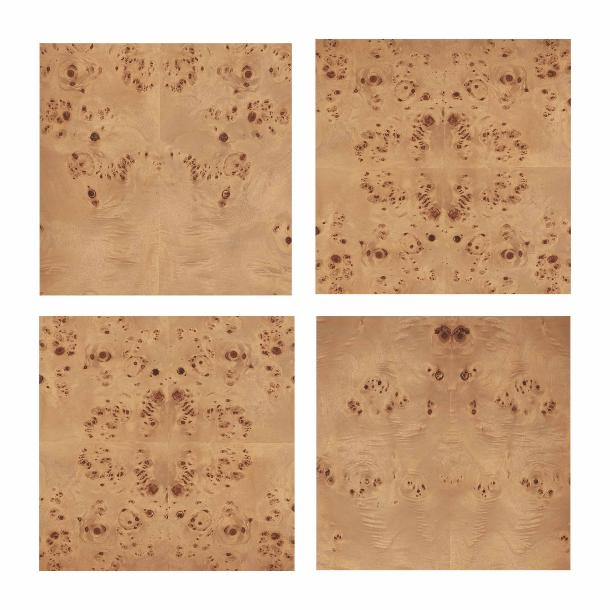 Brandyss 26 Burl 2 Drawer Nightstand by TOV B54189