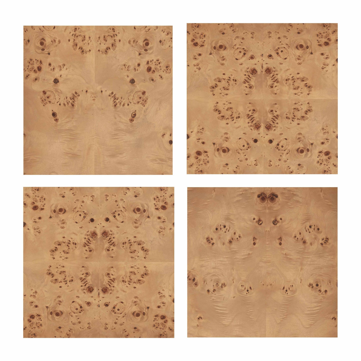 Brandyss 26 Burl 2 Drawer Nightstand by TOV B54387