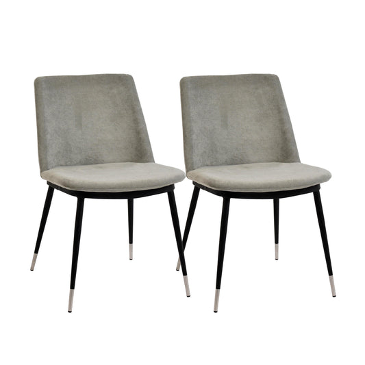 Evora Velvet Dining Chair Set Of 2 by TOV D4328
