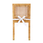 Amara Rattan Performance Fabric Dining Chair by TOV D44150