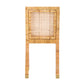 Amara Rattan Performance Fabric Dining Chair by TOV D44150