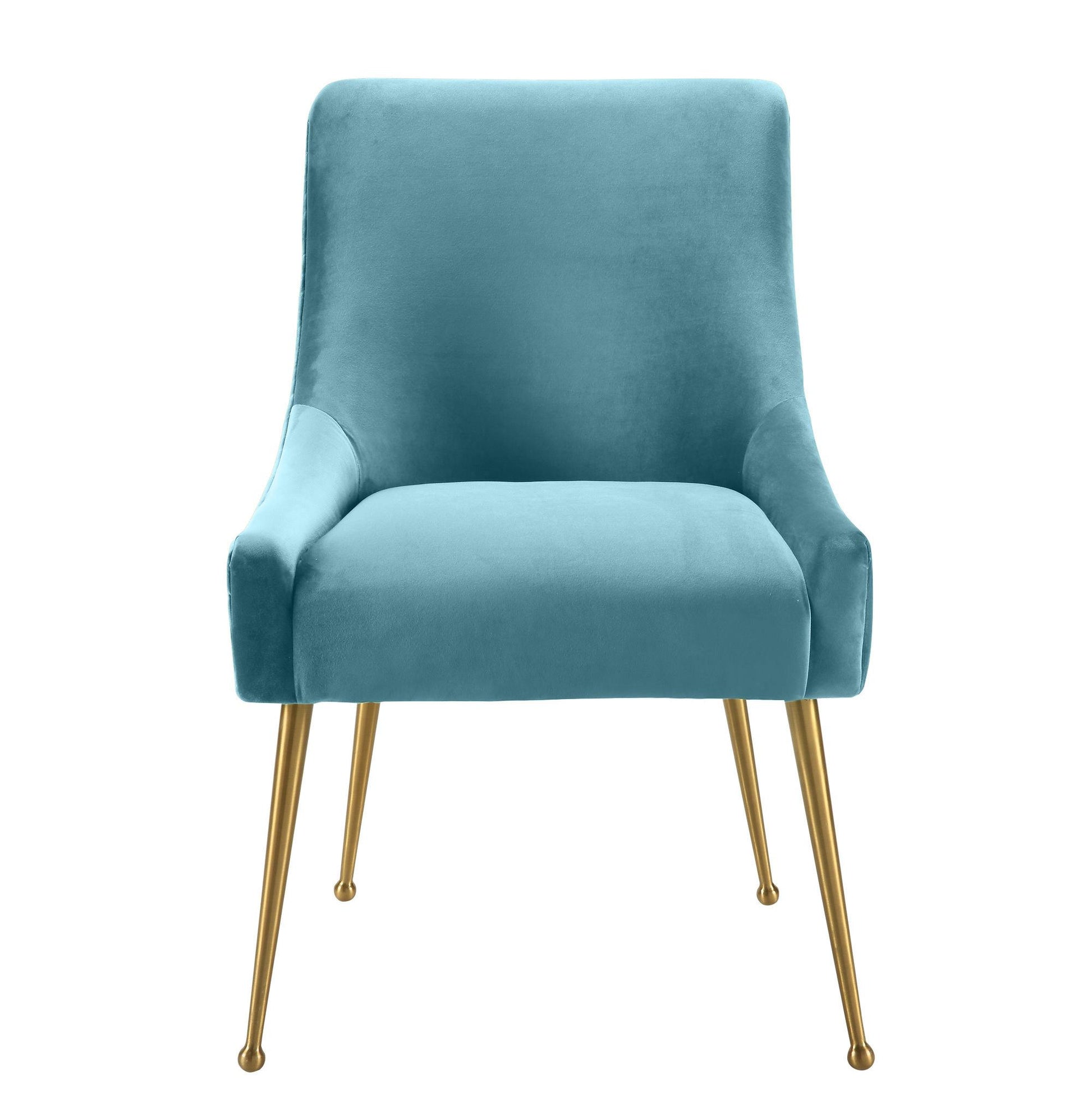 Beatrix Velvet Side Chair by TOV D6179