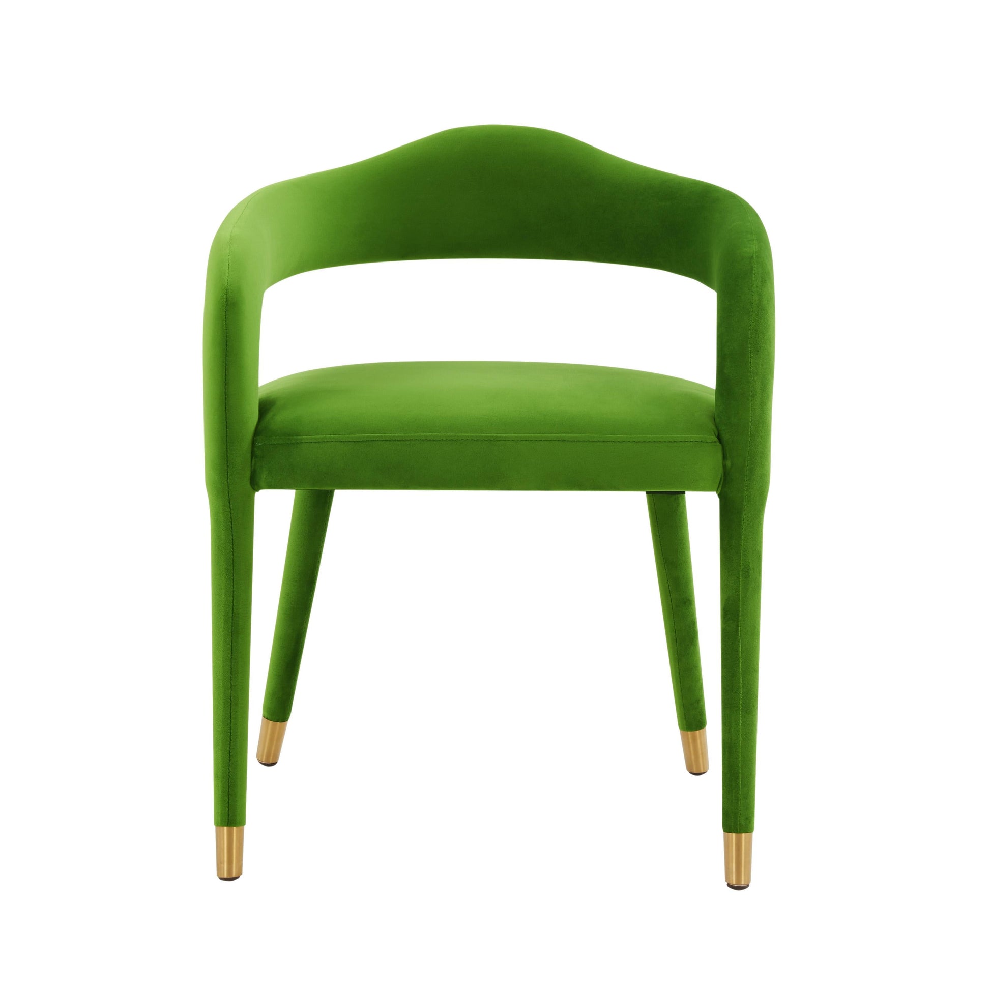 Lucia Velvet Dining Chair by TOV D68416