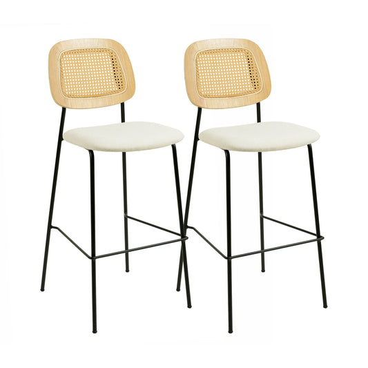 Anais Natural Rattan Counter Stool Set Of 2 by TOV D68875