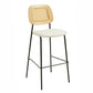 Anais Natural Rattan Counter Stool Set Of 2 by TOV D68875