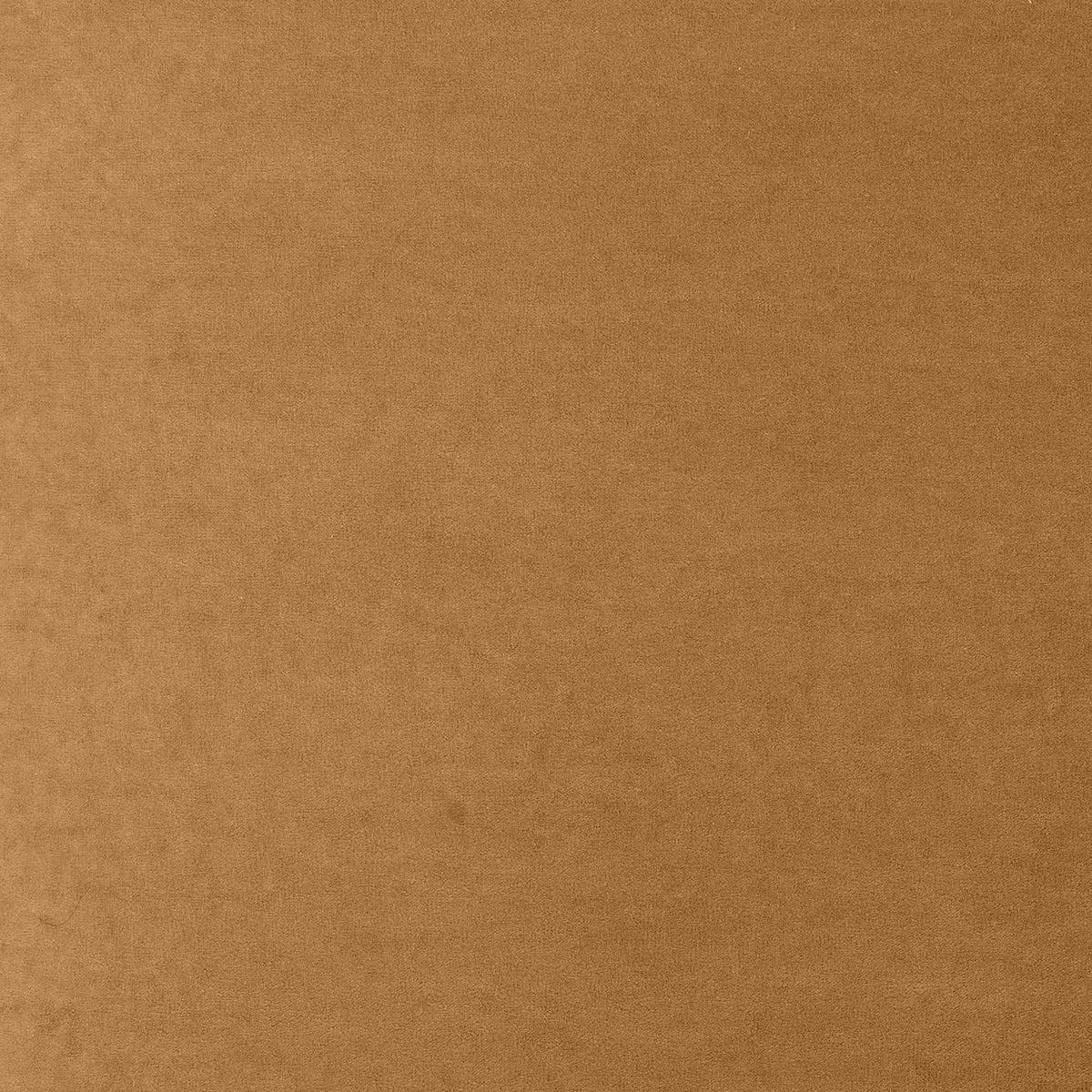 Tiara Cognac Performance Velvet Oak Dining Chair by TOV Furniture – photo 7 of 7
