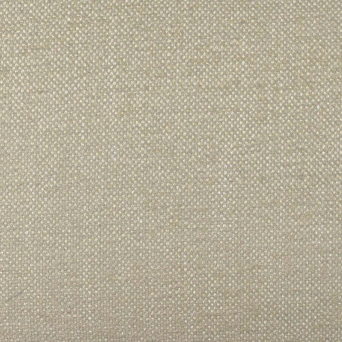 Tiara Performance Basketweave Fabric Dining Chair by TOV D69246