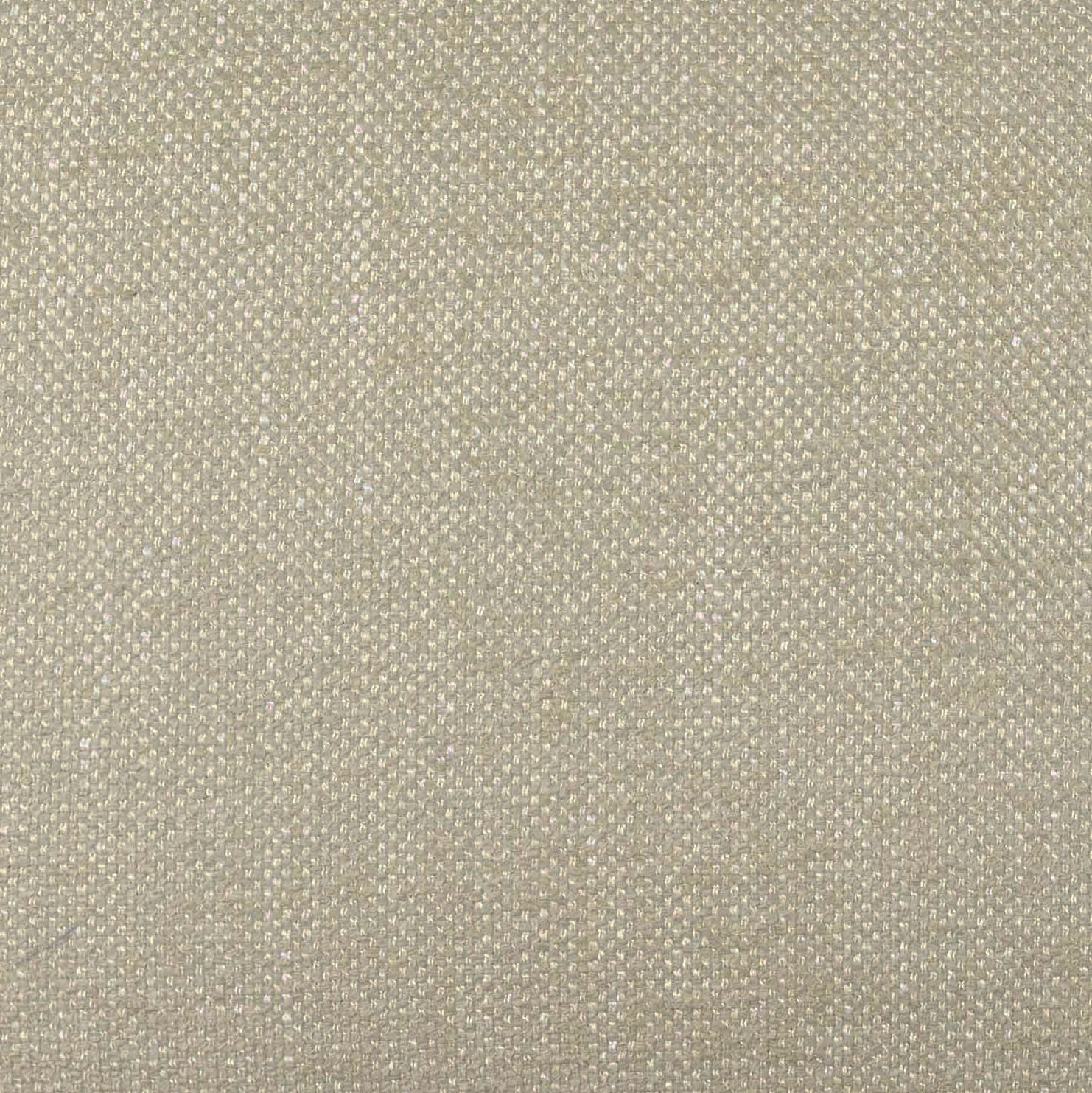 Tiara Performance Basketweave Fabric Dining Chair by TOV D69246