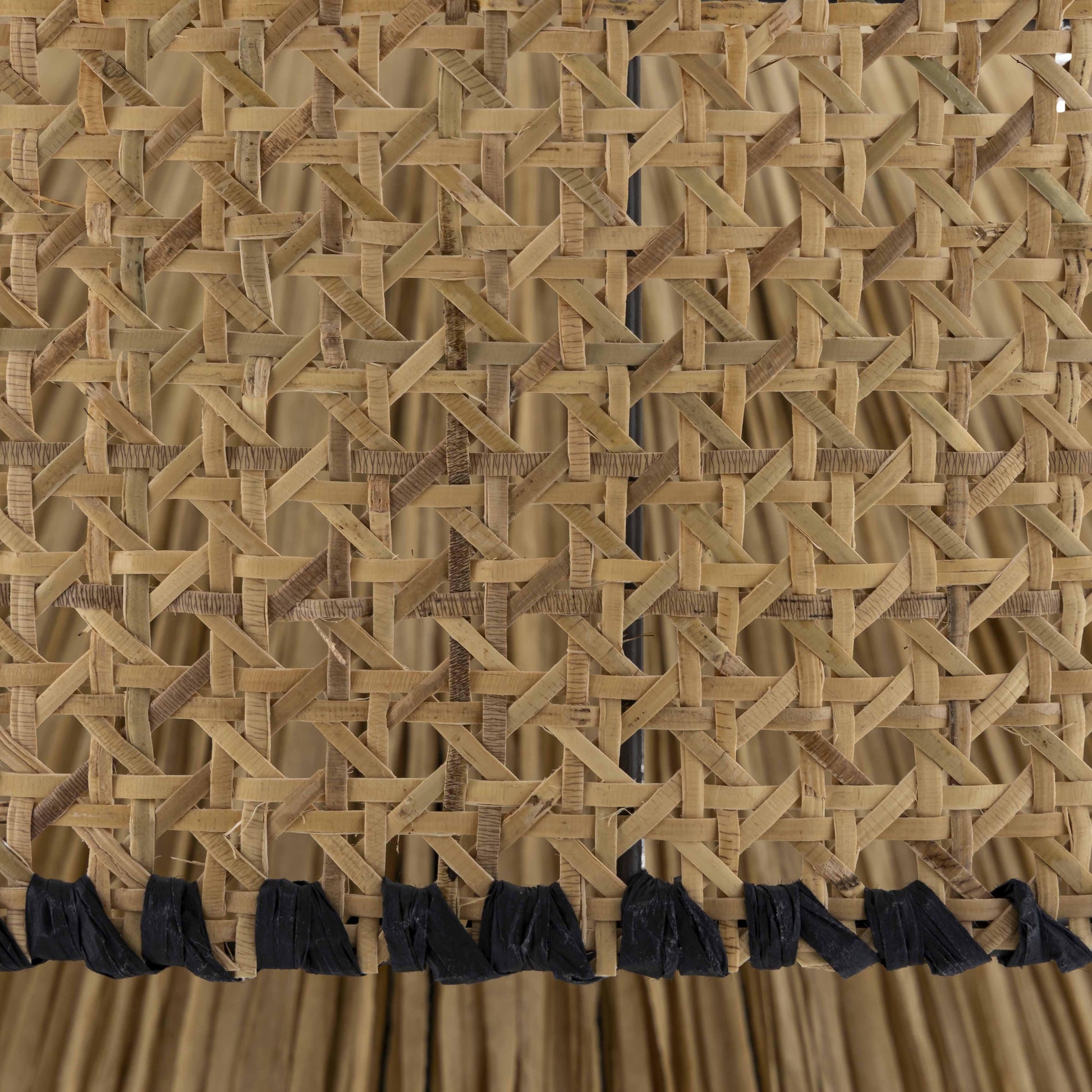 Rylie Natural Black Raffia Pendant Lamp by TOV G18382