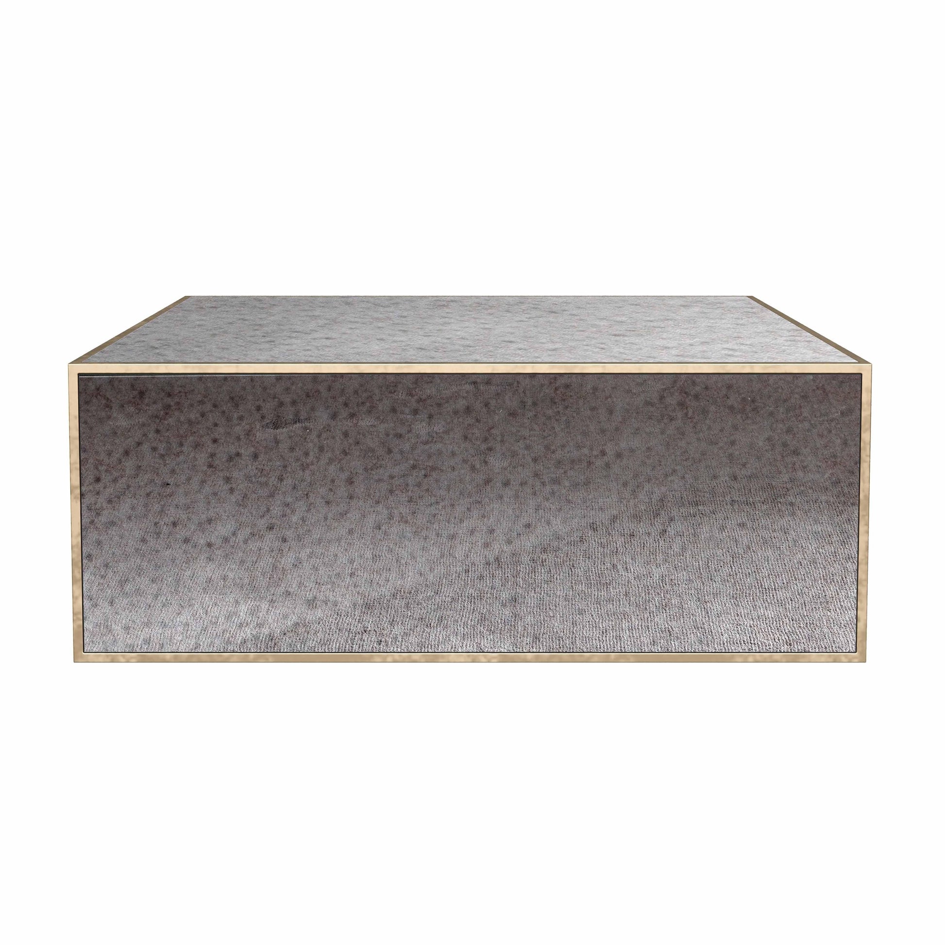 Lana Mirrored Coffee Table 43 48 by TOV Ihoc68256