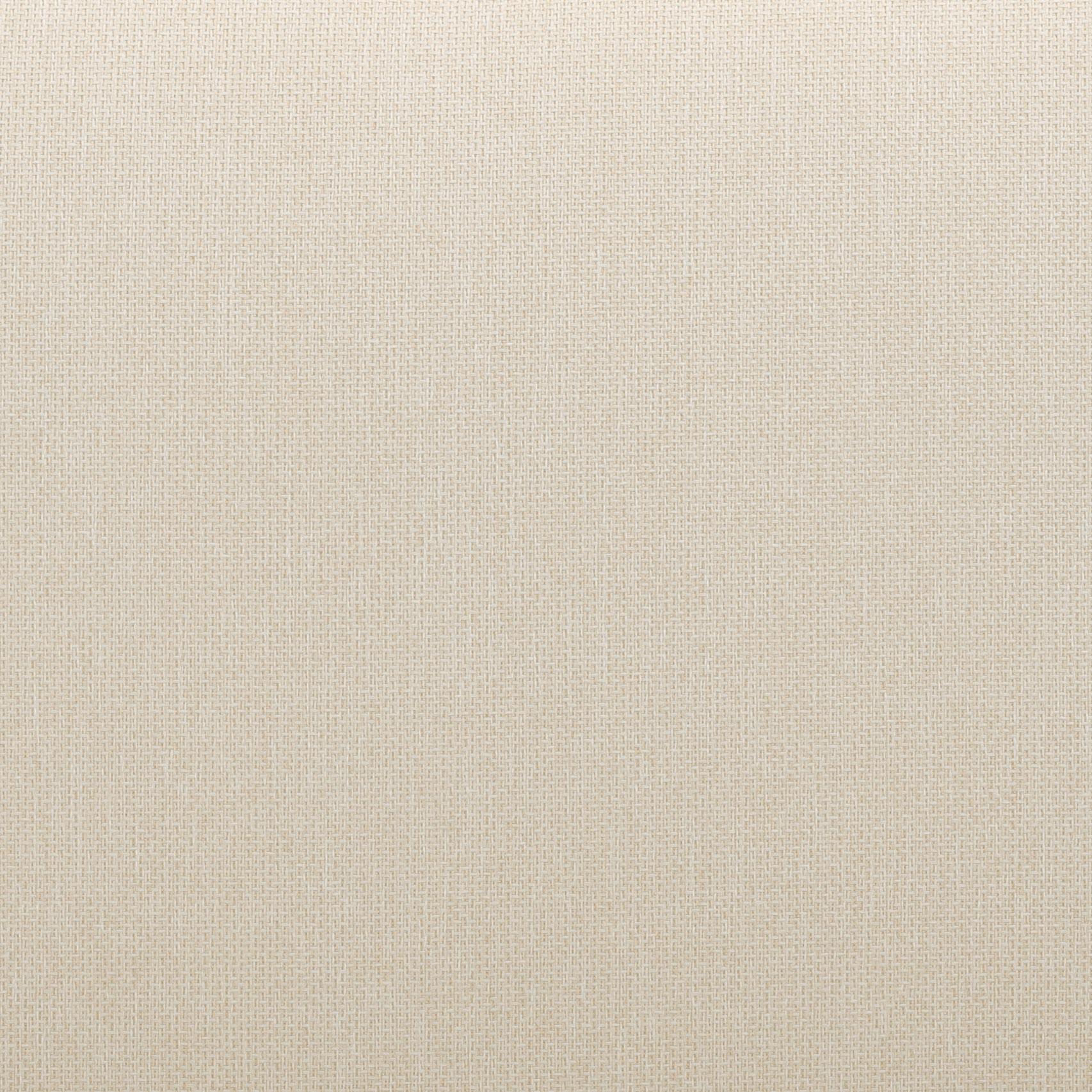 Reavan 67 Cream Outdoor Lounge Sofa by TOV O54456