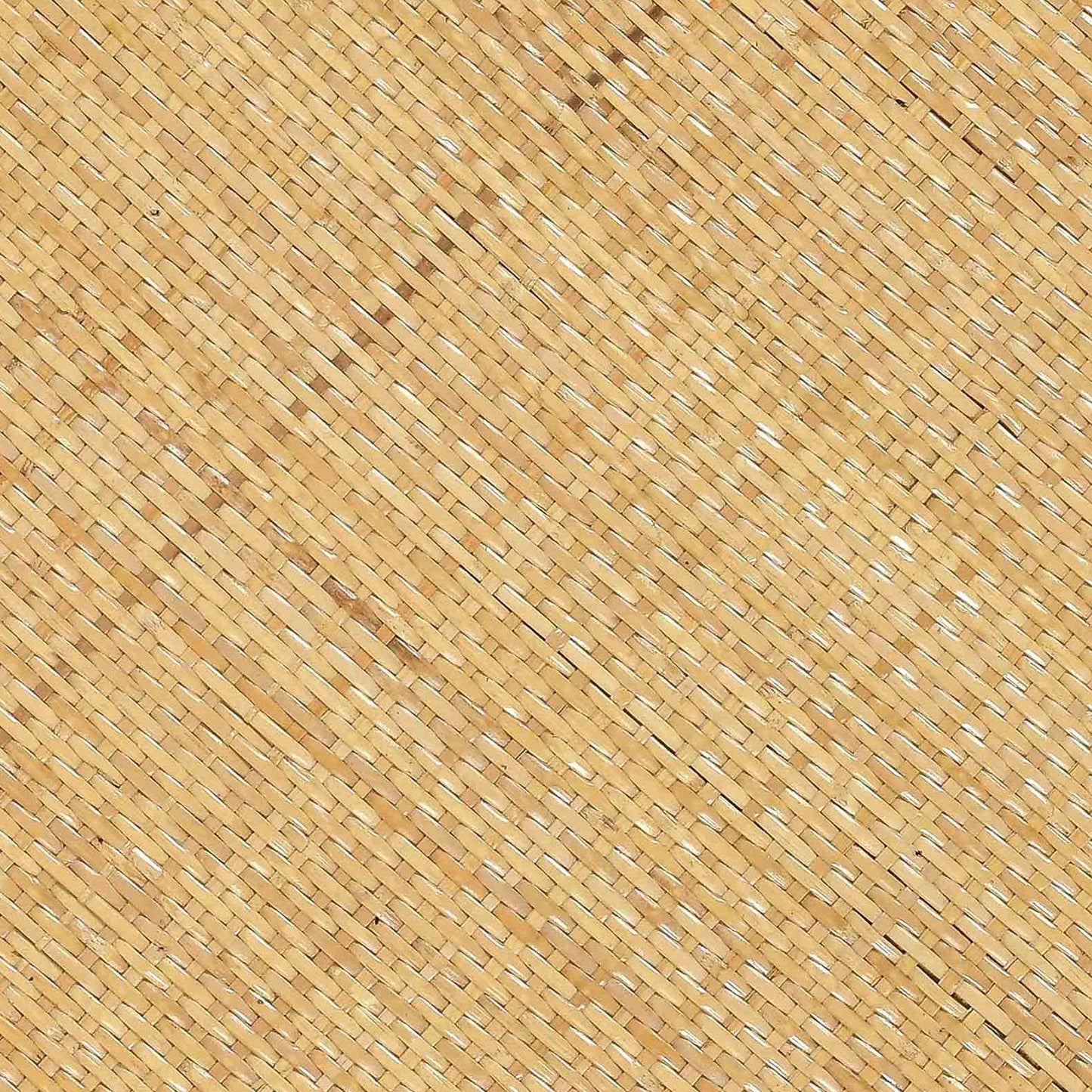 Amara Natural Rattan Side Table Natural by Tov Furniture