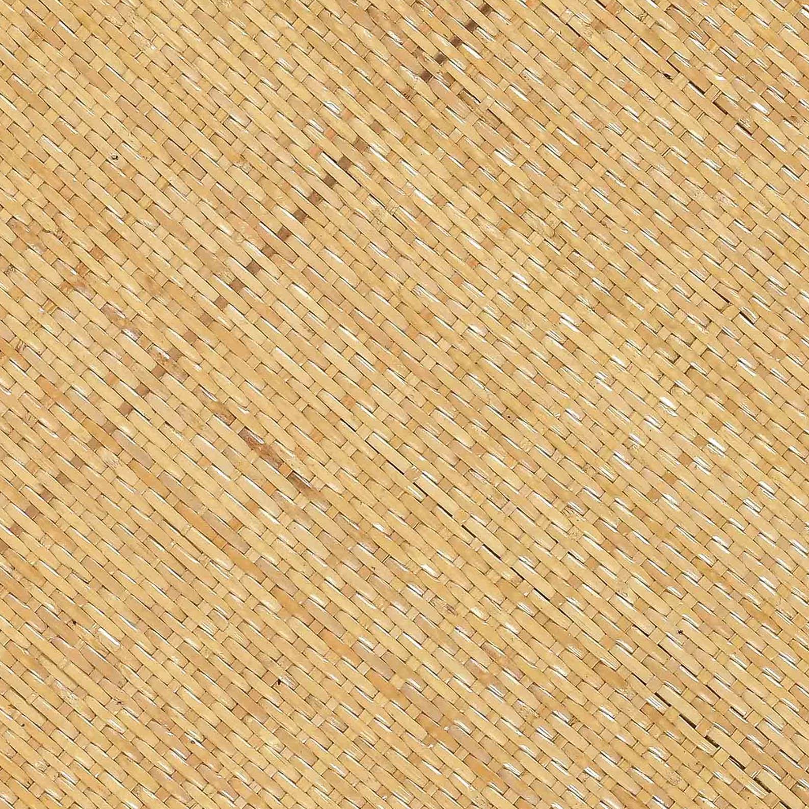 Amara Natural Rattan Side Table Natural by Tov Furniture