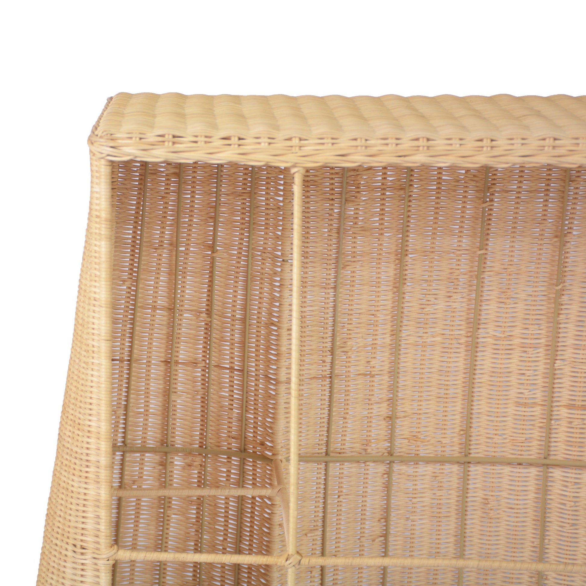 Egan 55" Natural Rattan Console Table Natural by Tov Furniture