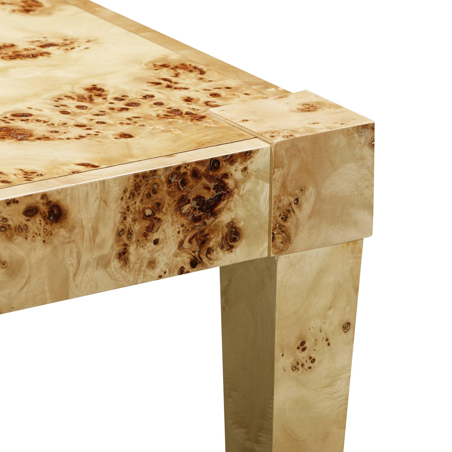 Brandyss Burl End Table Natural by Tov Furniture