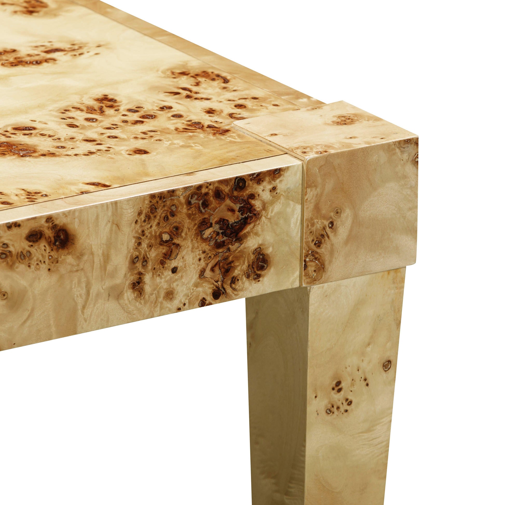 Brandyss Burl End Table Natural by Tov Furniture