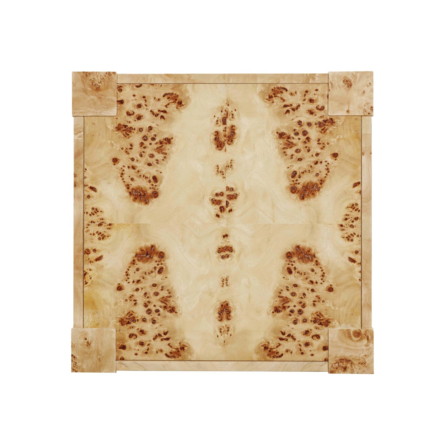 Brandyss Burl End Table Natural by Tov Furniture