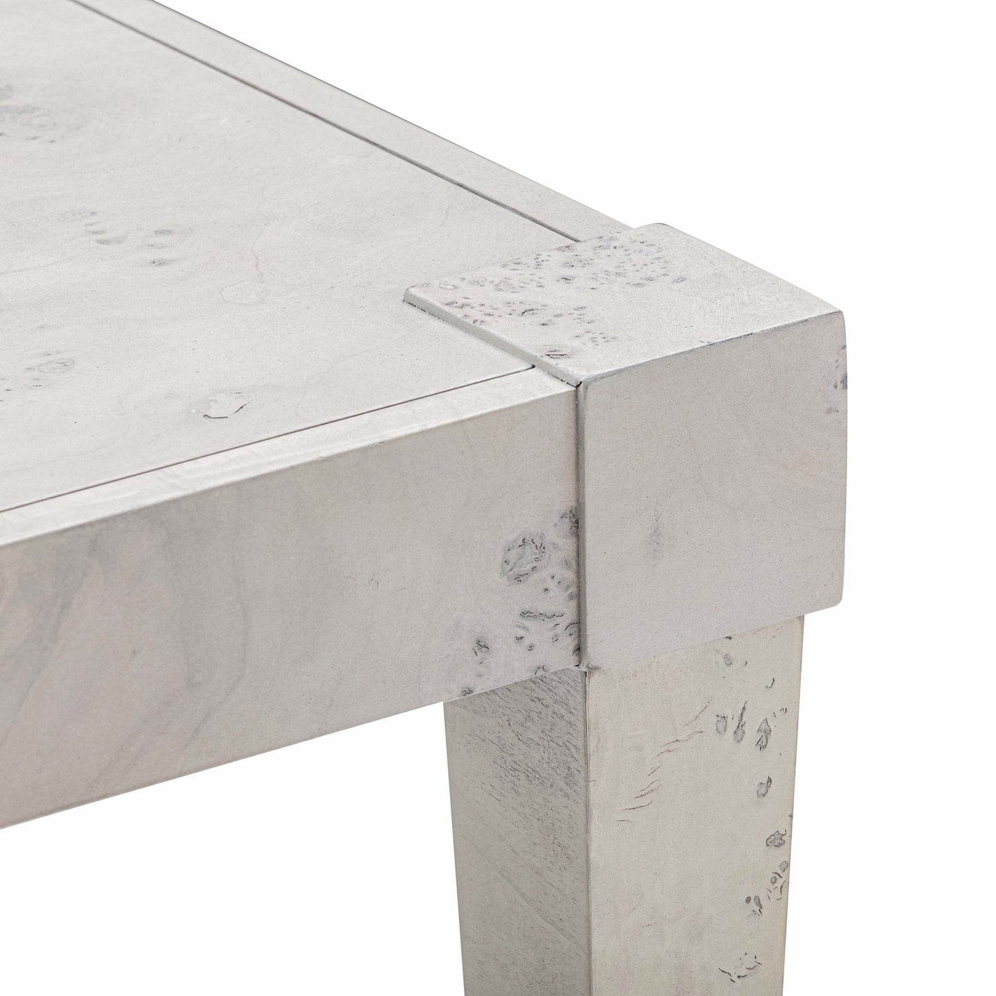 Brandyss Burl End Table White by Tov Furniture