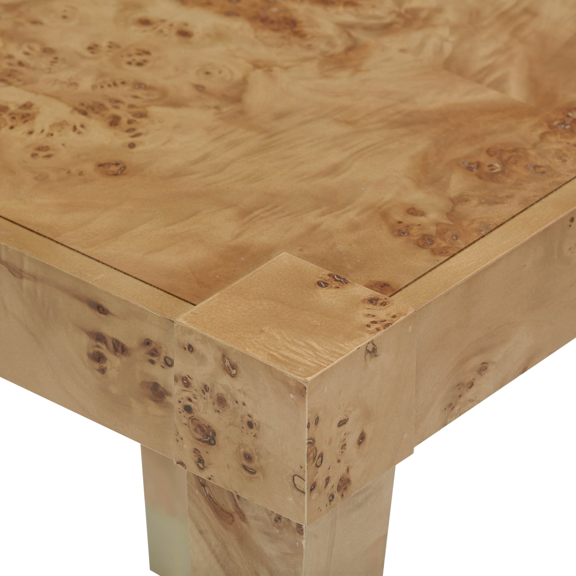 Brandyss Burl End Table Honey by Tov Furniture