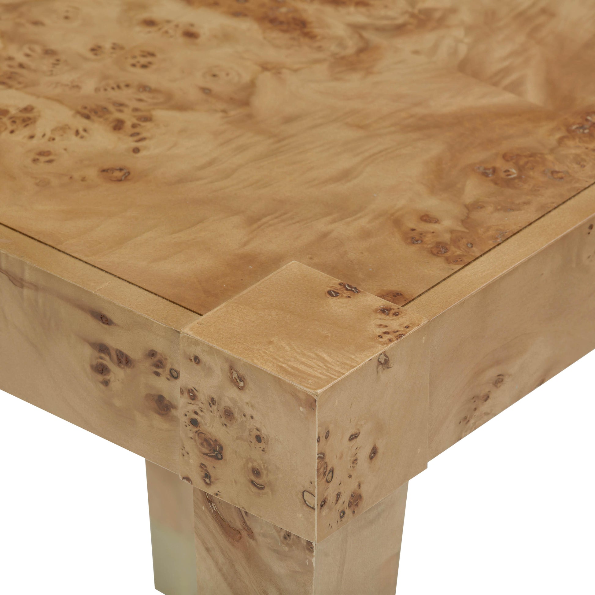Brandyss Burl End Table by TOV Oc54191
