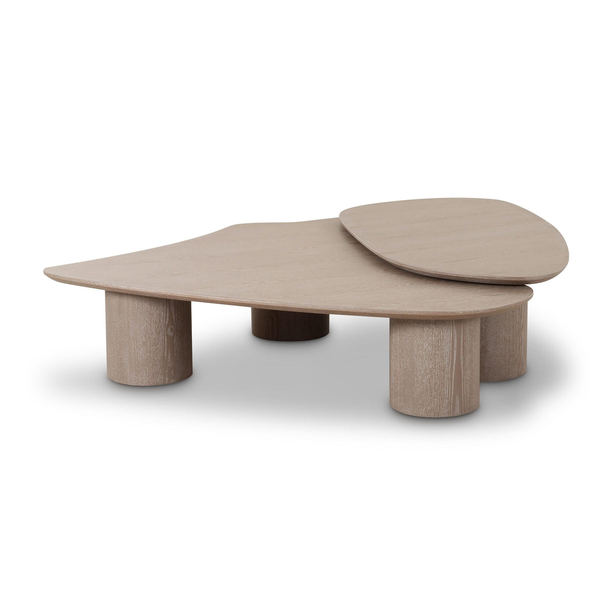 Rhema 2-Piece Washed Ash Nesting Coffee Table Set by TOV Furniture – photo 1 of 9