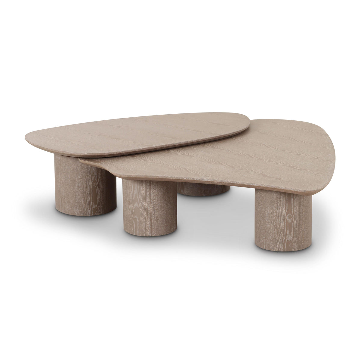Rhema 2-Piece Washed Ash Nesting Coffee Table Set by TOV Furniture – photo 3 of 9